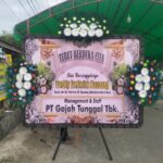 whatsapp image 2026 02 24 at 14.38.39 (2)